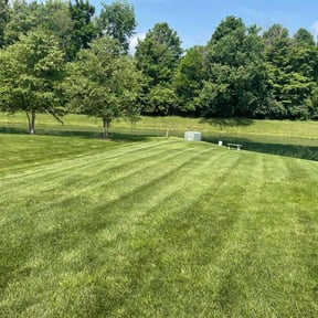 Bush Trimming by Four Level LLC -678.688.LAWN reviewed on October 10, 2021