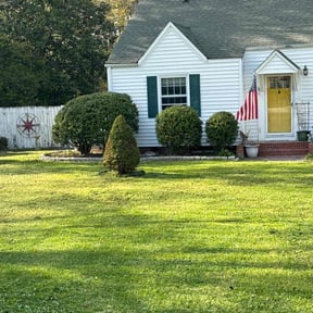 Bush Trimming by Reliable landscapingllc reviewed on July 12, 2022