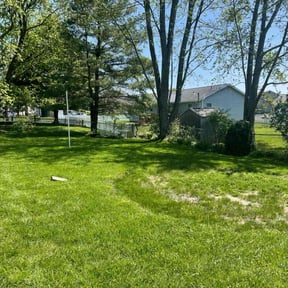 Bush Trimming by CTL Landscaping reviewed on July 2, 2022