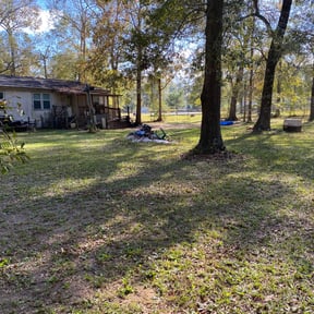 Leaf Removal by Star Landscaping reviewed on June 28, 2025