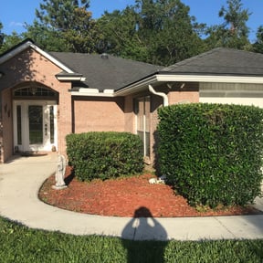 Bush Trimming by Prime Lawn Service . reviewed on April 8, 2025