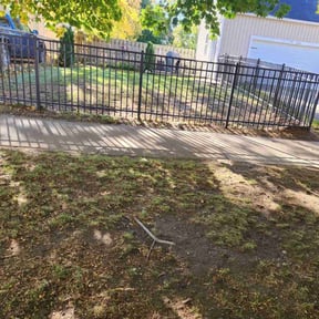 Leaf Removal by Walt's Lawn Care reviewed on October 11, 2024