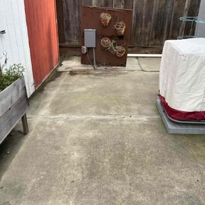 Flower Bed Weeding by Chris &amp; Tony Lawntastic service LLC reviewed on September 21, 2024