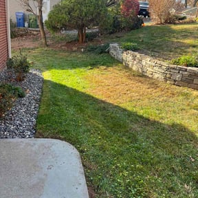 Leaf Removal by Sons Superior LLC reviewed on July 6, 2022