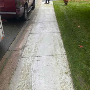 Bush Trimming by SGP Lawn Services reviewed on April 20, 2022