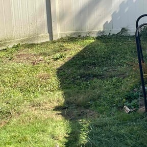 Cleanups by Odd.jobz landscaping solution reviewed on August 12, 2025