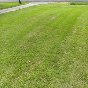 Bush Trimming by E & J Lawnz reviewed on June 22, 2022