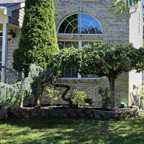 Mulching by Burnett Landscaping reviewed on May 31, 2022