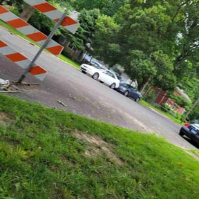 Leaf Removal by BKTS reviewed on May 1, 2025