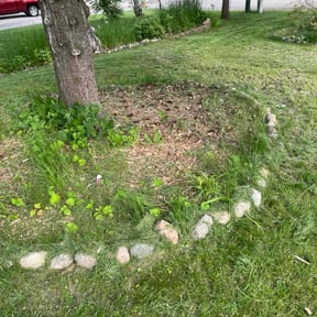 Flower Bed Weeding by Lawnspire reviewed on July 30, 2022