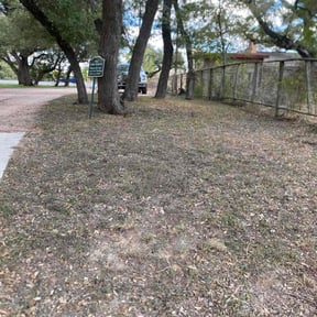 Bush Trimming by Glm landscaping reviewed on April 14, 2022