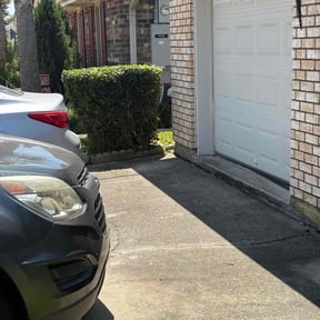 Bush Trimming by Quality lawn care reviewed on August 17, 2024