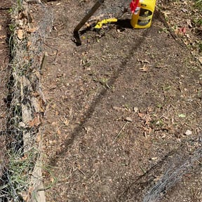 Leaf Removal by Davis landscaping reviewed on August 9, 2020