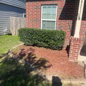 Bush Trimming by Reset ladscaping reviewed on July 18, 2022