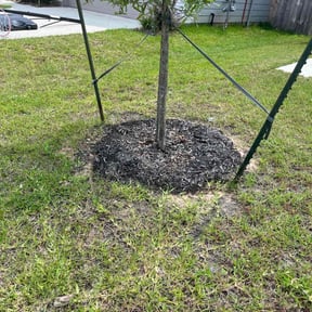 Flower Bed Weeding by Carbon Dioxide Recyclers reviewed on May 26, 2022