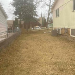 Cleanups by Dels Mow, Blow, and snow removal reviewed on July 7, 2025