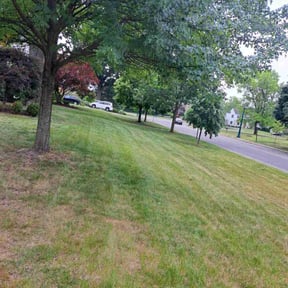 Leaf Removal by Greenblade Mowing reviewed on November 24, 2024