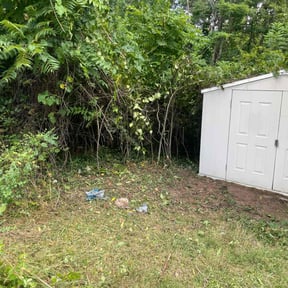 Leaf Removal by Ebenezer Lawn Care reviewed on August 7, 2022