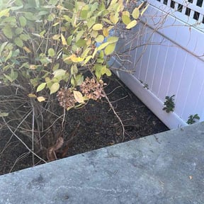 Leaf Removal by Hillscapes reviewed on June 28, 2022