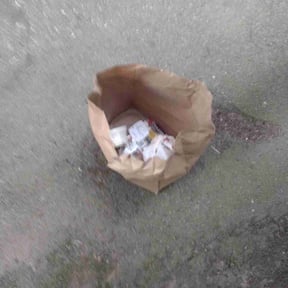 Cleanups by Unique Transit Solutions reviewed on January 10, 2022