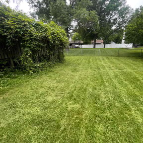 Leaf Removal by County Line Services reviewed on July 27, 2022