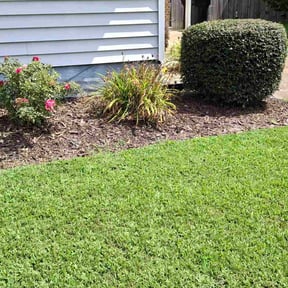 Flower Bed Weeding by Superior Lawn Pros LLC reviewed on July 5, 2025
