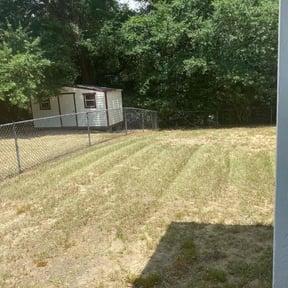 Bush Trimming by M &amp; F Landscaping Services LLC reviewed on November 9, 2017