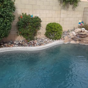 Bush Trimming by Dura Yard Service reviewed on March 8, 2022