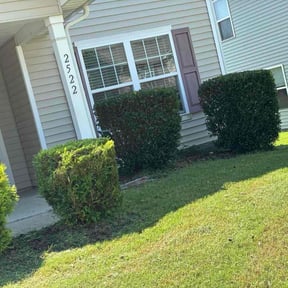 Bush Trimming by Williamson's Lawn Care and Service reviewed on September 8, 2020