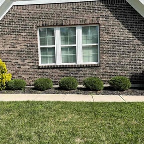 Bush Trimming by Djuan Patterson reviewed on May 1, 2022