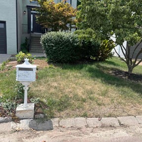 Leaf Removal by Coqui Lawn Care Services reviewed on September 21, 2020