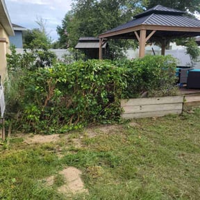 Bush Trimming by K&G Lawncare reviewed on August 5, 2022