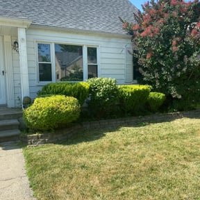 Bush Trimming by Perfect lawn reviewed on June 11, 2022