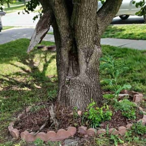 Landscaping by JA Performance Outdoor Services reviewed on December 7, 2024