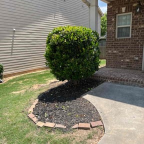 Bush Trimming by Walkernmore reviewed on May 12, 2025