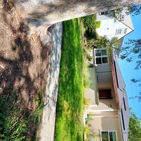 Bush Trimming by farsight services reviewed on May 22, 2022