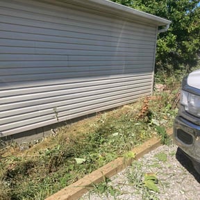Bush Trimming by Daniel's lawn care service LLC reviewed on July 8, 2022
