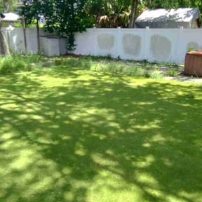 Leaf Removal by Blazin Scapes LLC reviewed on April 4, 2025