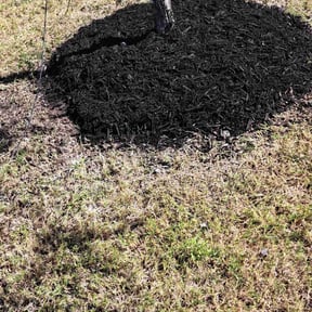Mulching by 618'S Snappin Out Lawn Care reviewed on July 18, 2020
