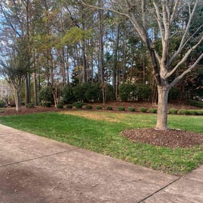 Leaf Removal by Yard Dr. LLC reviewed on April 10, 2022