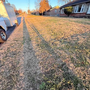 Leaf Removal by Serrano's House Care reviewed on August 8, 2022