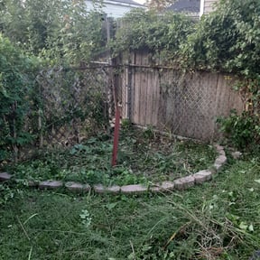 Bush Trimming by Lightening Kutz reviewed on April 26, 2025