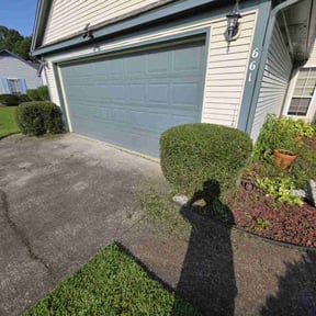 Bush Trimming by Grass Care By the Beach reviewed on July 2, 2025