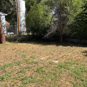 Bush Trimming by Thayer&#039;s Property Maintenance reviewed on June 15, 2022