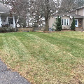 Leaf Removal by 3DM reviewed on April 29, 2022