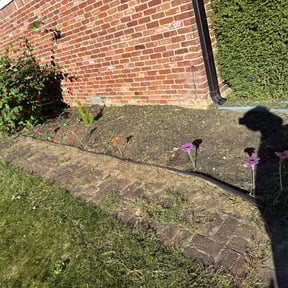 Cleanups by Cut & Clean Services reviewed on May 29, 2022