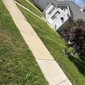 Cleanups by Royalty lawn care reviewed on June 6, 2022