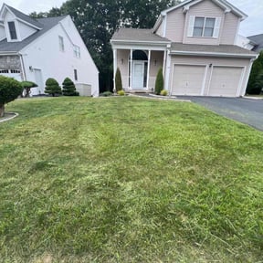 Lawn Seeding by Mars and more reviewed on September 4, 2021