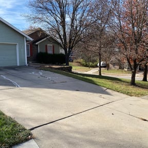 Leaf Removal by The Lawn Cypress reviewed on December 5, 2024