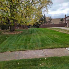 Leaf Removal by RTH Lawn Service & Landscaping LLC reviewed on August 3, 2022
